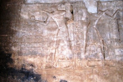37