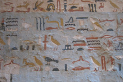 Dag-11-Aswan-prive-graven-028