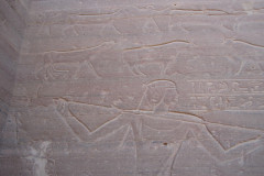 Dag-11-Aswan-prive-graven-085