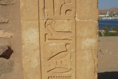 Dag-11-Aswan-prive-graven-110