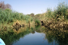 11-Nijlcruise