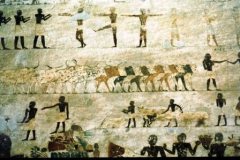 Koeien-en-dansers-in-het-graf-van-Chety