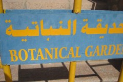 Dag-12-Aswan-038