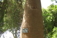 Dag-12-Aswan-043