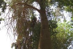 Dag-12-Aswan-044