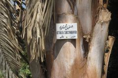 Dag-12-Aswan-051