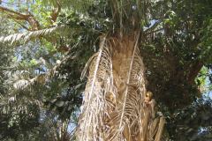 Dag-12-Aswan-052