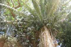 Dag-12-Aswan-053