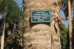 Dag-12-Aswan-056