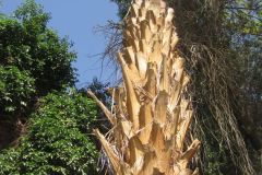 Dag-12-Aswan-057