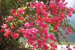 Dag-12-Aswan-058