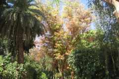 Dag-12-Aswan-059