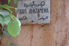 Dag-12-Aswan-062