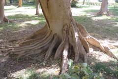 Dag-12-Aswan-063