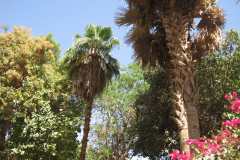 Dag-12-Aswan-067