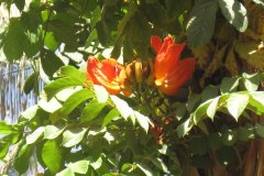 Dag-12-Aswan-080
