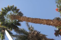 Dag-12-Aswan-081
