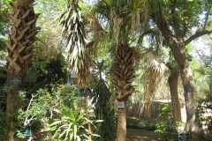Dag-12-Aswan-096