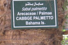 Dag-12-Aswan-098