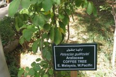 Dag-12-Aswan-103