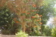 Dag-12-Aswan-110