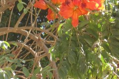 Dag-12-Aswan-111