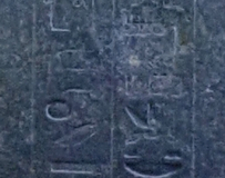 P1190533