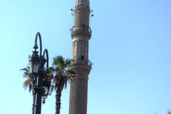 SAM_0359