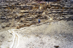 SAM_0495