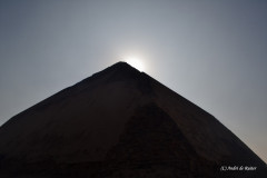 DSC_0102.Vivid_