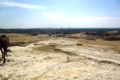 SAM_0388