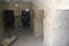 Nissen-in-een-voorkamer-van-Mykerinos
