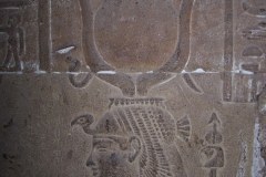 59