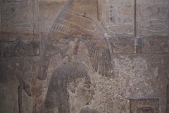 61