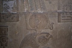 62