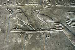068-Edfu-Kopie
