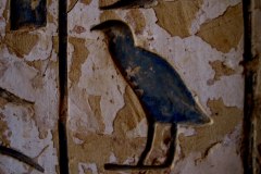 IMG_5369.VividShare