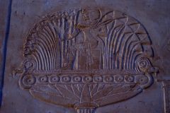 IMG_5385.VividShare