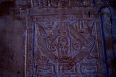 IMG_5387.VividShare