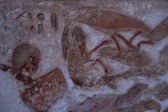 IMG_5248.VividShare