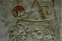 IMG_5279.VividShare