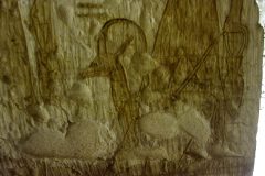 IMG_5282.VividShare