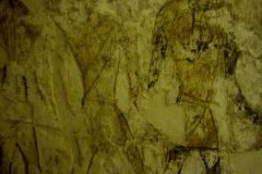 IMG_5286.VividShare
