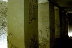 IMG_5288.VividShare