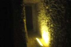 IMG_5436.VividShare