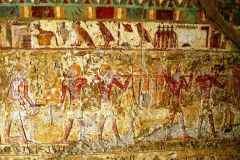 34-El-Kab-tombe-van