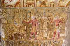 48-El-Kab-tombe-van