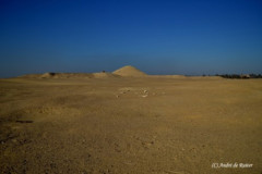 DSC_0130.Vivid_