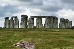 IMG-20250518-WA0065