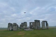IMG-20250519-WA0027